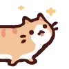 🐱