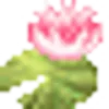 🪷