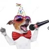 🐶
