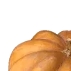 🎃
