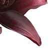 🥀