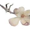 🌸