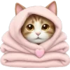 🐱