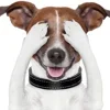 🐶