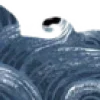 🌊