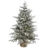 🌲