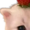 🍓