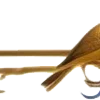 🕊️