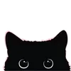 🐈‍⬛