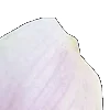 ⭐