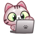 💻