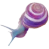 🐌