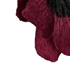 🥀