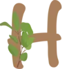 🌿