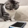📱