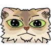 🐱