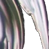 ⭐