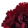 🥀