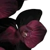 🥀
