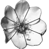 💐