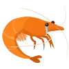 🦐