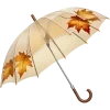 ☔️
