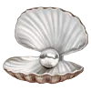 🐚