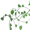 🌿