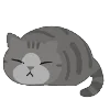 🐈‍⬛