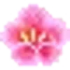 🌸