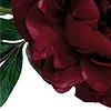 🥀