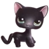 🐈‍⬛