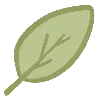 🍃