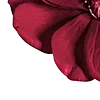 🥀