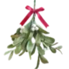 🥠