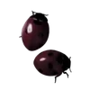 🫗
