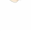 ⭐️