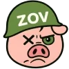 🐷