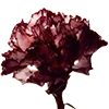 🥀