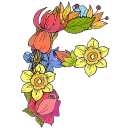 🏵