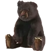 🐻