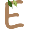 🌿