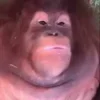 🤣