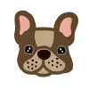 🐶