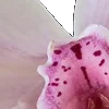 ⭐