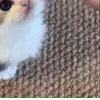 ⭐