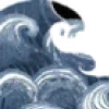🌊