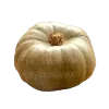 🎃
