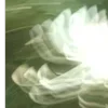 🌿