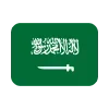 🇸🇦